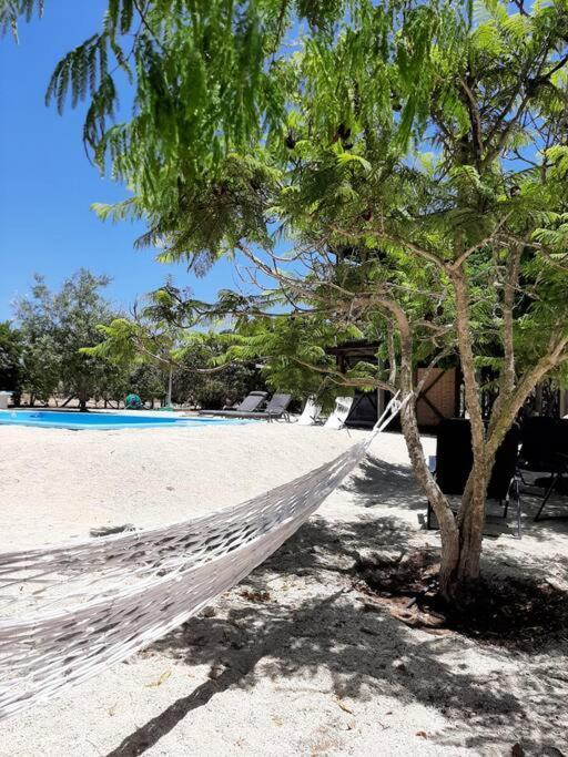 Casa de férias Exclusiva Casa Con Vista Panoramica Al Mar Guanaqueros